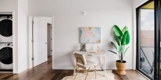 The Sentinel Gallery 12