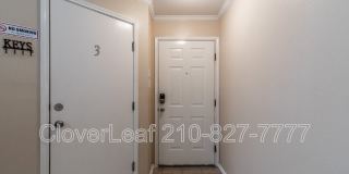 10343 Lion Chase Gallery 5