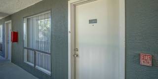 Treehouse Apartments Gallery 60