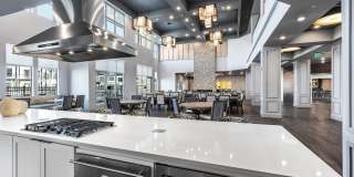 Larkspur Creekside Age 55+ Apartment Homes Gallery 5