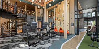 NOVEL Morrisville Gallery 23