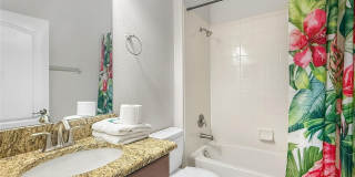2942 BUCCANEER PALM ROAD Gallery 24