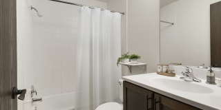 Lou Park Apartments Gallery 7