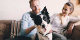 The Boat House Gallery 92