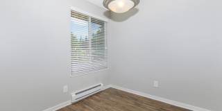 Carrington Gallery 53