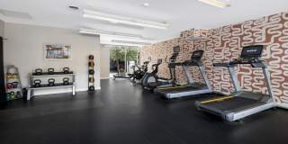 Reside on Barry Gallery 10