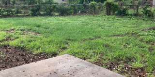 2718-2720 S. Stewart Gallery 20