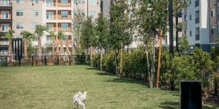 Infield Apartments Gallery 67