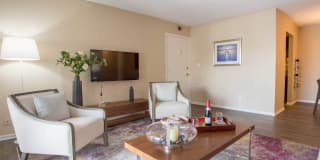 Advenir at Magnolia Gallery 1