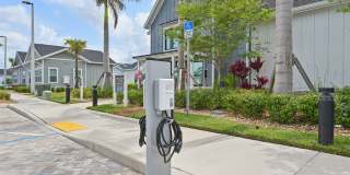 The Sophia Gallery 56