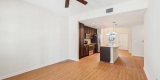 Dakota at Abacoa Gallery 22