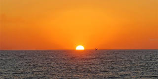 213 N WASHINGTON DRIVE Gallery 94