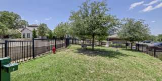 Wiregrass at Stone Oak Gallery 2