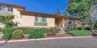 Carrington Gallery 32