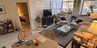 48 Forest St 48 Forest St Gallery 1