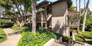 9 Madrona Gallery 30