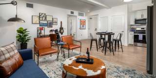 Aston at Gateway Gallery 3