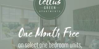 Tellus Green Tellus Green Gallery 15