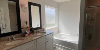 Branch Point S/D Gallery 15