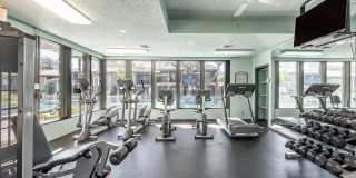 River View Gallery 11