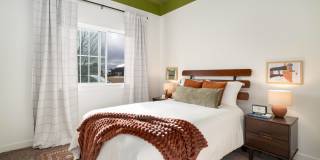 Sundance at Baxter Meadows Gallery 21