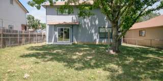 12811 HUNTING BEAR Gallery 29