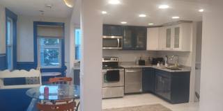 Newly renovated 1-Bd Cambridge - Great Deal Gallery 8