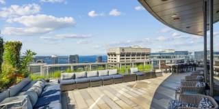 Premiere on Pine Gallery 4