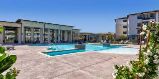 Active Adult- Ivy Point Cypress Active Adult- Ivy Point Cypress Gallery 27