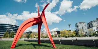 Windsor Cirrus Gallery 51