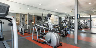 Amara Spring Valley Apartments Gallery 25