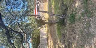 6035 Hart Field Gallery 28