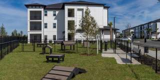 3030 at Apopka Apartments Gallery 12