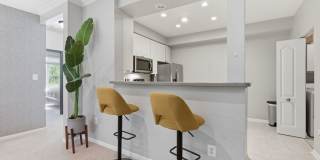 Charming 3BD/2BA in Island Creek Gallery 12