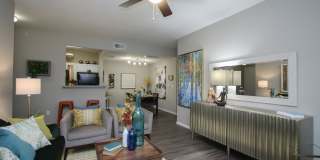 Hollow Tree Park Gallery 17