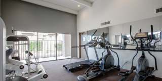 La Lomita Gallery 29