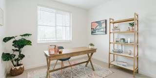 South Ridge Apartments Gallery 14