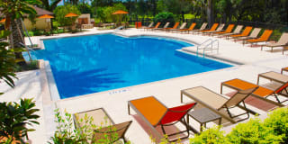 Addison at Tampa Oaks Gallery 11