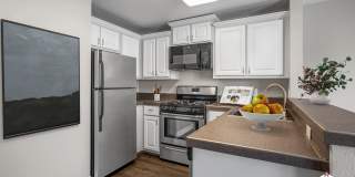 South Parc at Bethany Gallery 2