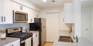 Avalon Commons Gallery 1