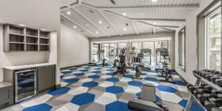 The Biltmore Gallery 5