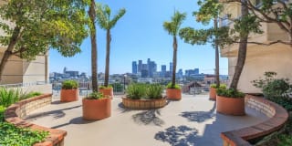 Skyline Terrace Apartments Gallery 1