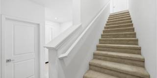 158 Restore Gallery 29