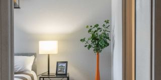 Remington Canyon Apartments Gallery 12