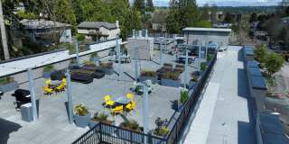 Morado Bothell Gallery 34