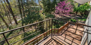 2820 ELLICOTT ST NW Gallery 37