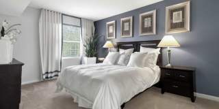 Lerner Springfield Square Apartments Gallery 8