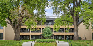 The Penhurst Gallery 50