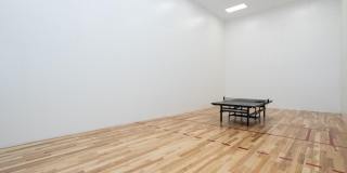 9017 Manchester Lane Gallery 40