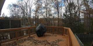 8112 PARKDALE Court Gallery 16